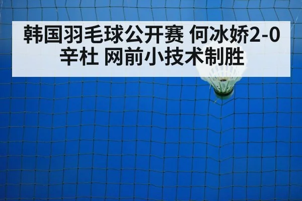 韩国羽毛球公开赛 何冰娇2-0辛杜 网前小技术制胜